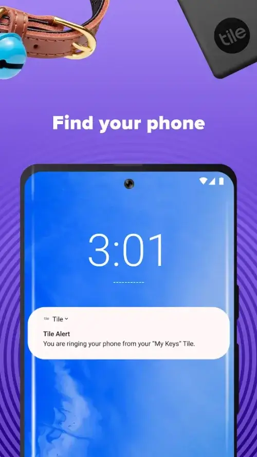 Tile screenshot 6