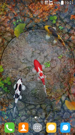Water Garden Live Wallpaper screenshot 6