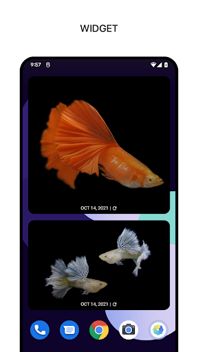 1Gallery screenshot 6