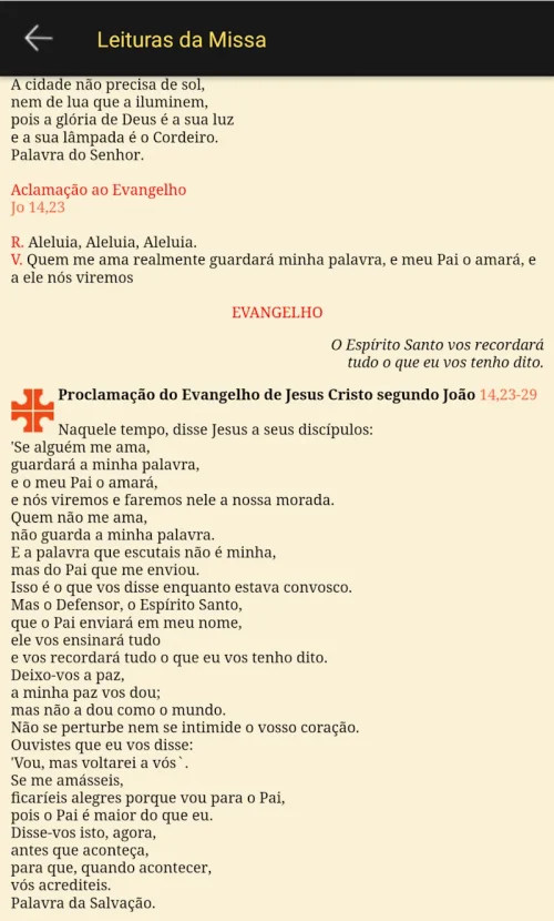 iLiturgia screenshot 6