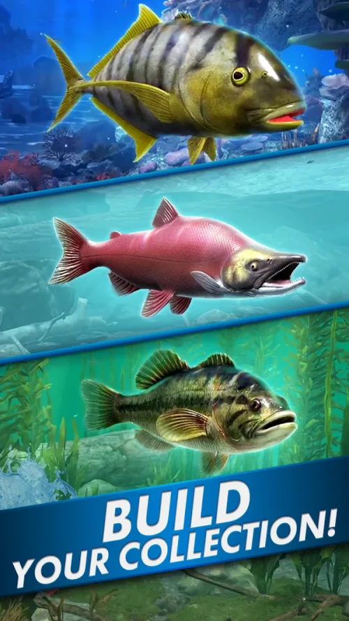 Go Fishing! Fish Game screenshot 6