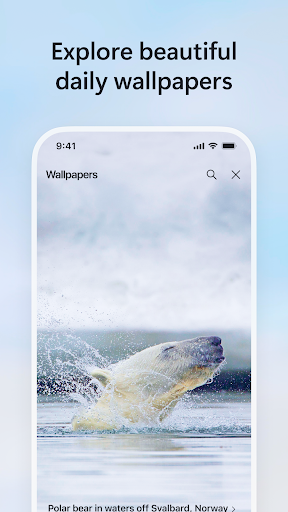Bing screenshot 6