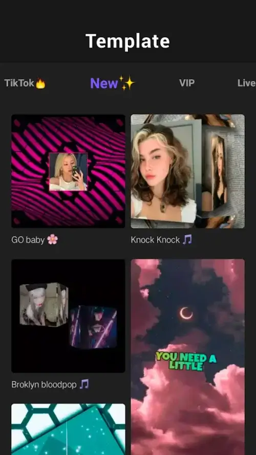 VivaCut screenshot 7