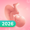 Pregnancy MOD