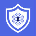 World VPN MOD