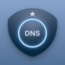 DNS Changer MOD