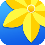 Gallery MOD