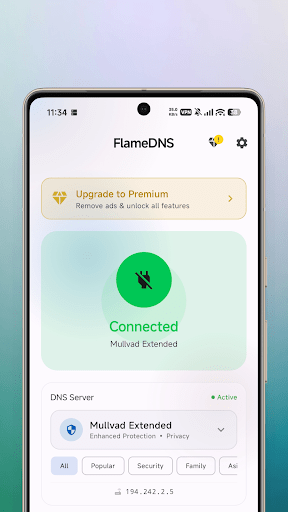 FlameDNS MOD screenshot 1
