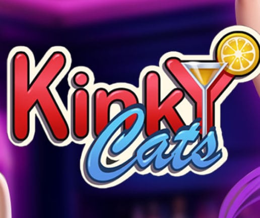 Kinky Cats screenshot 1