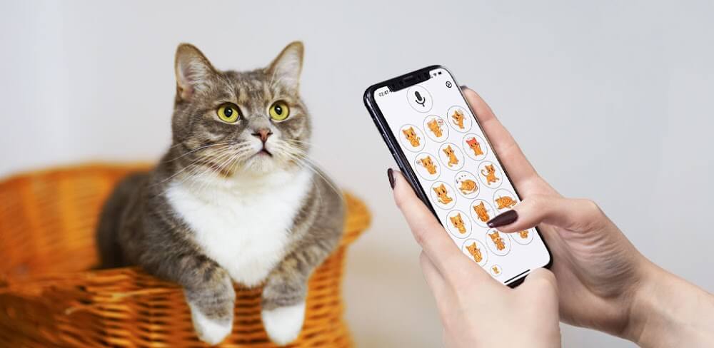 Human to Cat Translator screenshot 1
