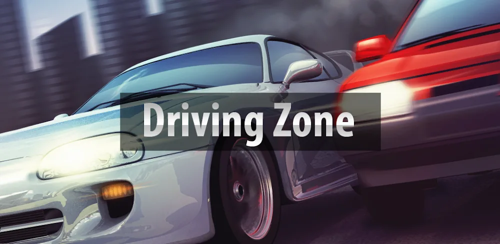 Driving Zone screenshot 1