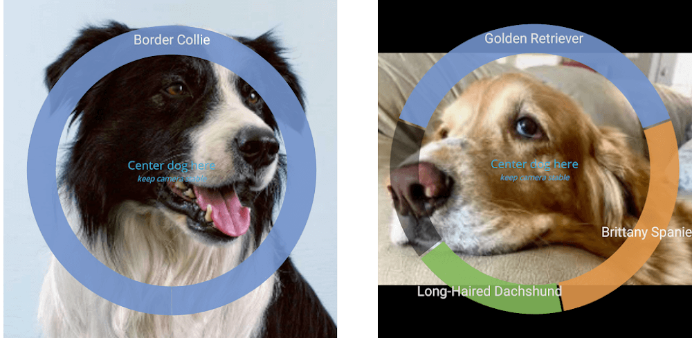 Identify Dog Breeds Pro screenshot 1