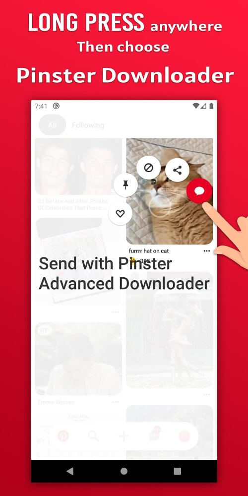 Pinster Advanced Downloader screenshot 2