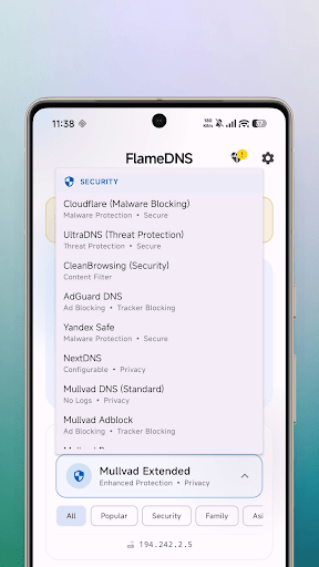 FlameDNS MOD screenshot 2