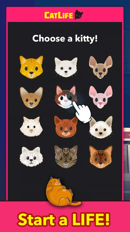 BitLife Cats – CatLife screenshot 2