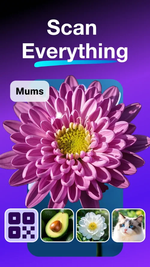 All Scanner: Scan & Identify screenshot 2