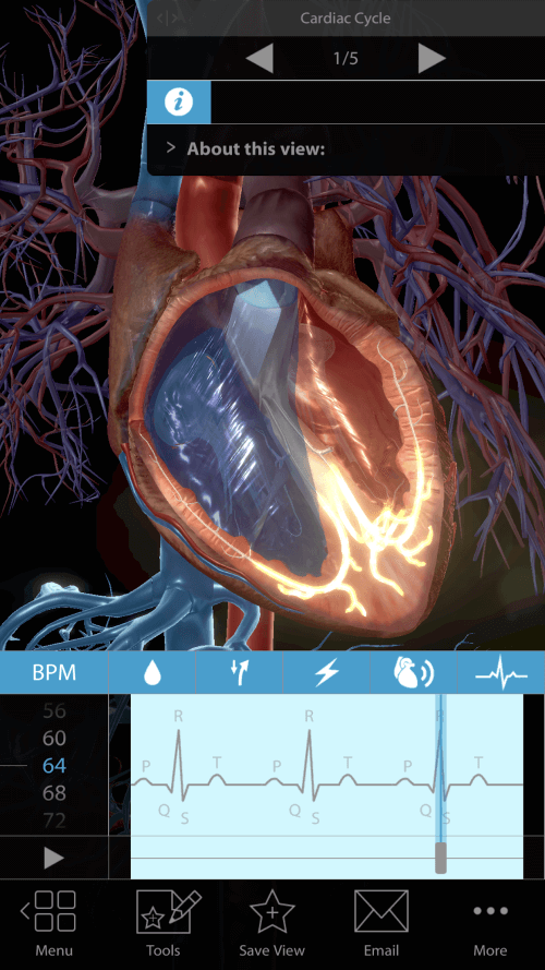 Physiology & Pathology screenshot 2