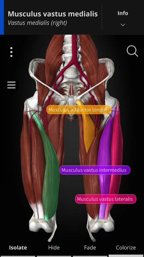 Anatomyka – 3D Anatomy Atlas screenshot 3