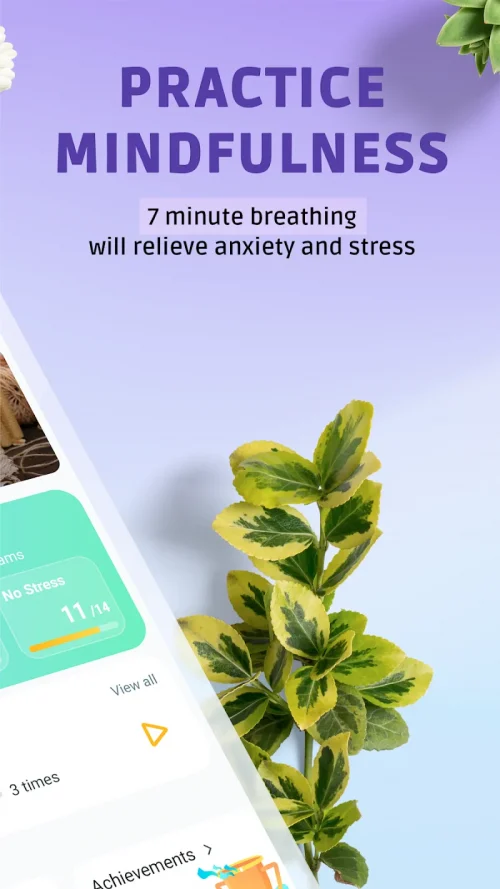 Pranaria – Breathing exercise screenshot 3
