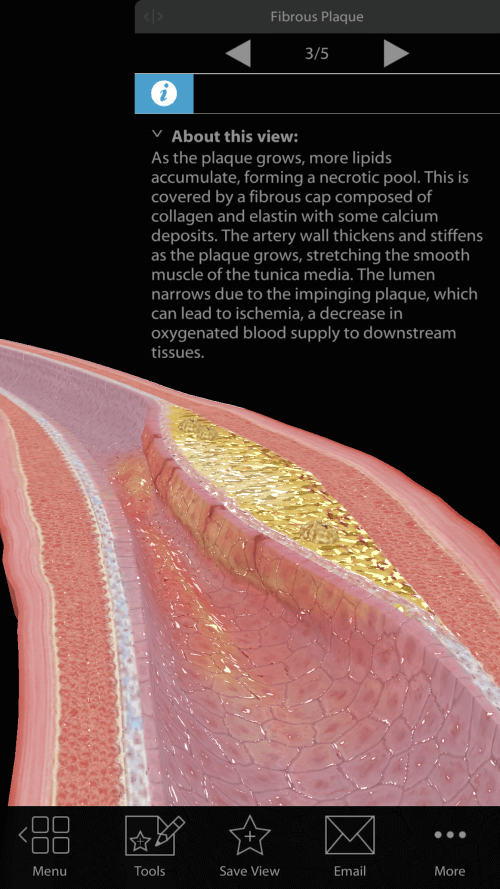 Physiology & Pathology screenshot 3