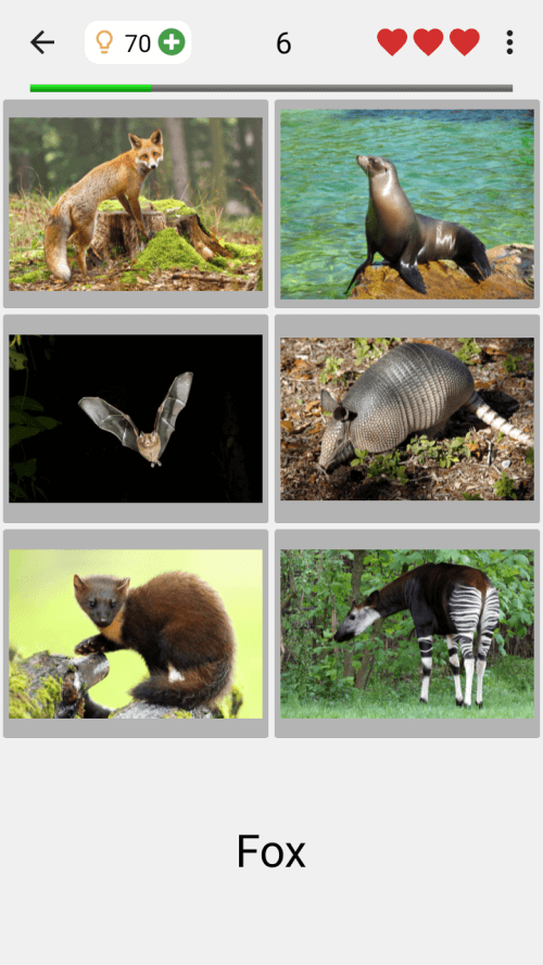 Animals Quiz Learn All Mammals screenshot 3