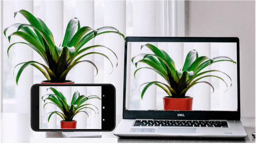 Iriun 4K Webcam for PC and Mac screenshot 3