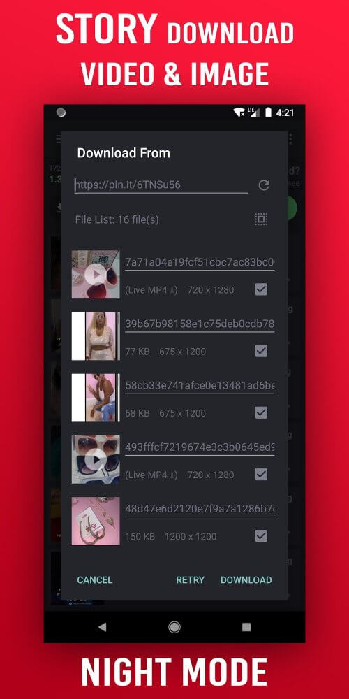 Pinster Advanced Downloader screenshot 4