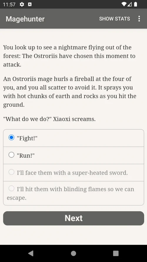 Magehunter: Phoenix Flame screenshot 4