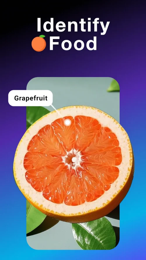 All Scanner: Scan & Identify screenshot 4