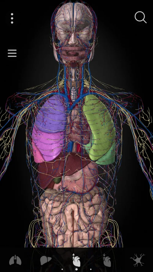 Anatomyka – 3D Anatomy Atlas screenshot 4