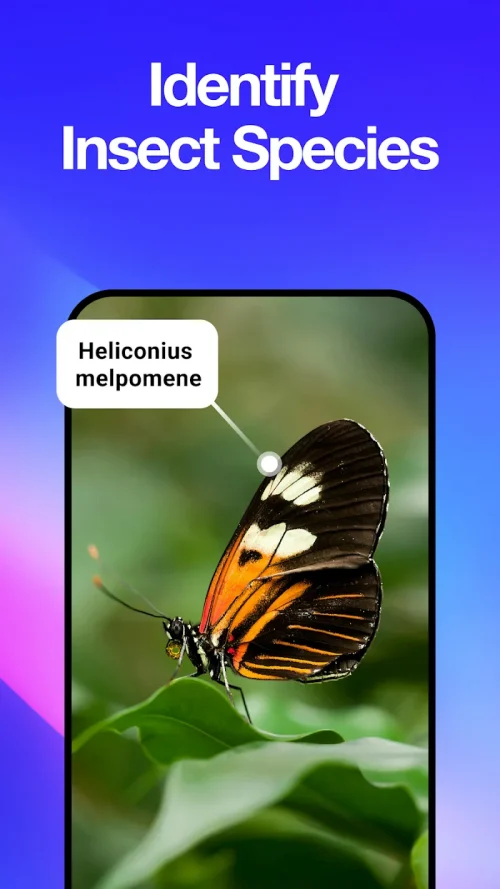 All Scanner: Scan & Identify screenshot 5