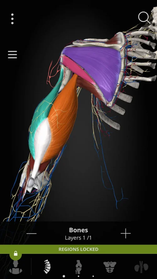 Anatomyka – 3D Anatomy Atlas screenshot 5
