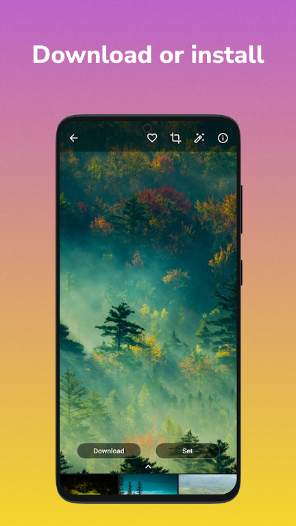 Wallspic screenshot 5