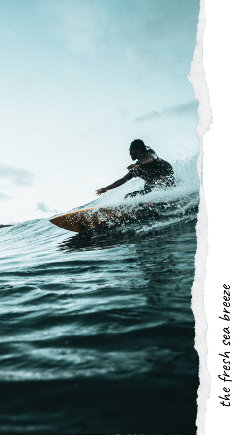 Made – Story Editor & Collage screenshot 5
