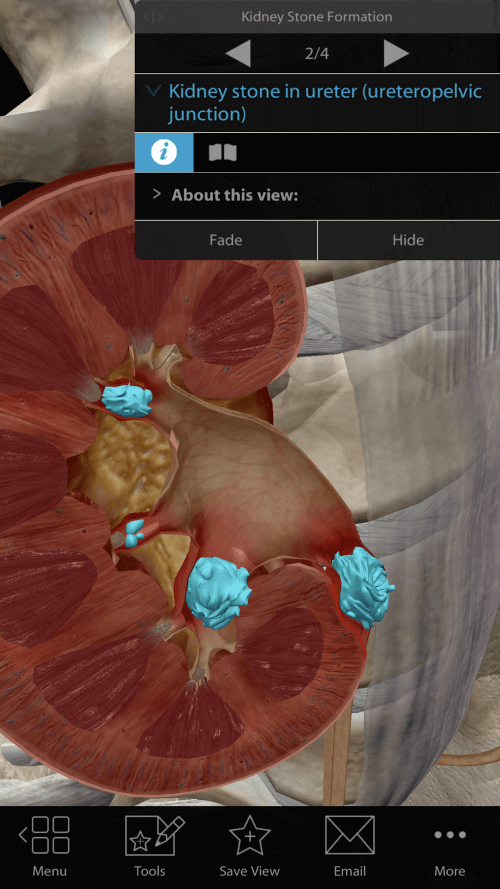 Physiology & Pathology screenshot 5