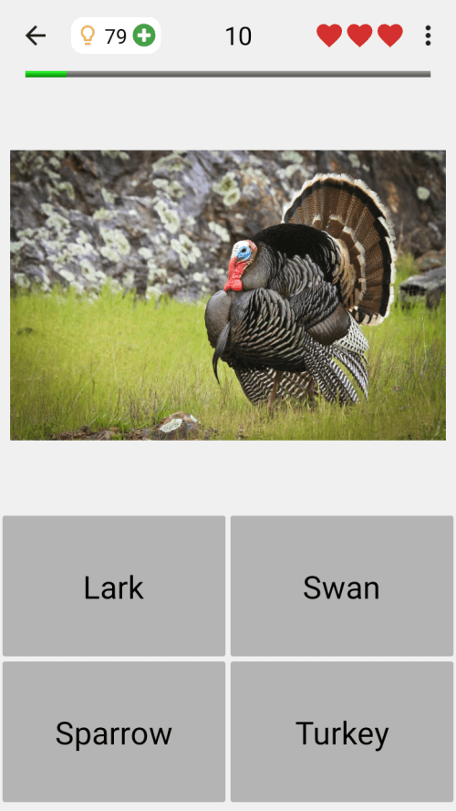 Animals Quiz Learn All Mammals screenshot 5