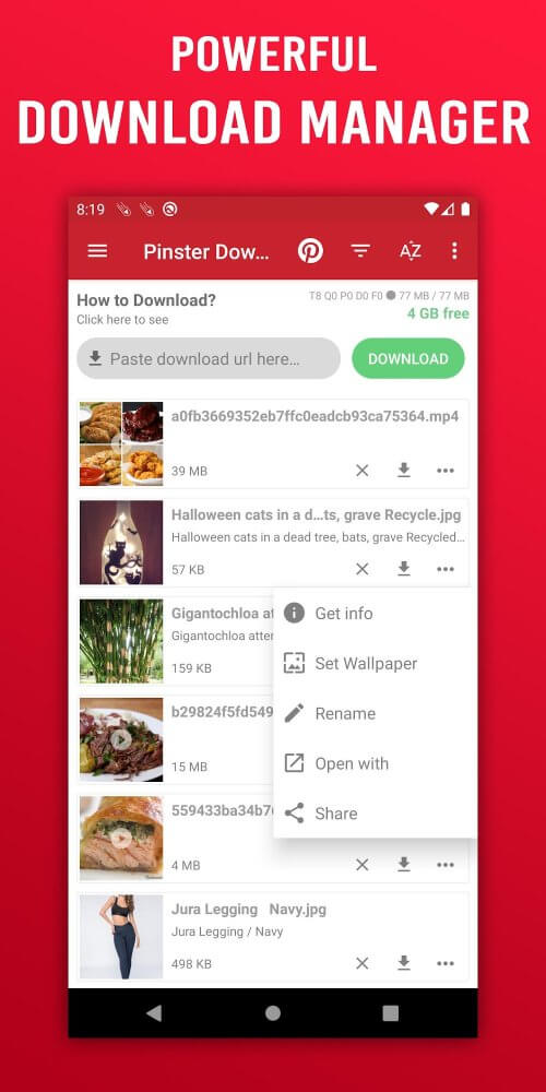 Pinster Advanced Downloader screenshot 6