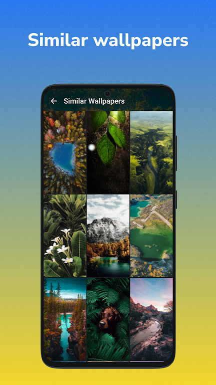 Wallspic screenshot 6
