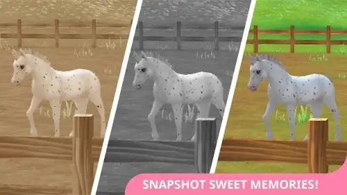 Star Stable Horses screenshot 6