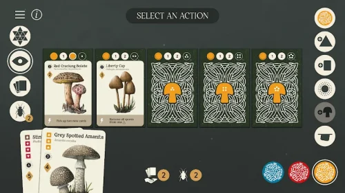 Mycelia: The Board Game screenshot 6