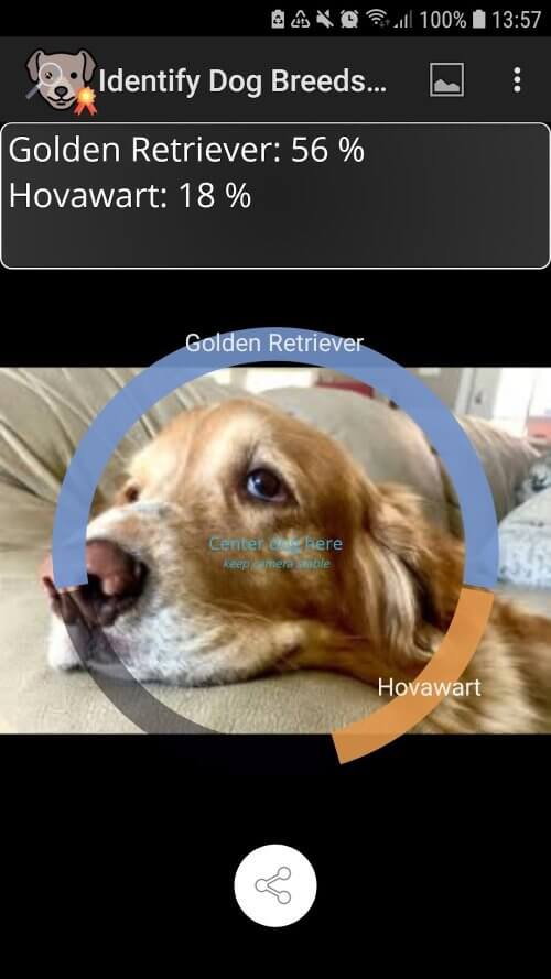 Identify Dog Breeds Pro screenshot 7