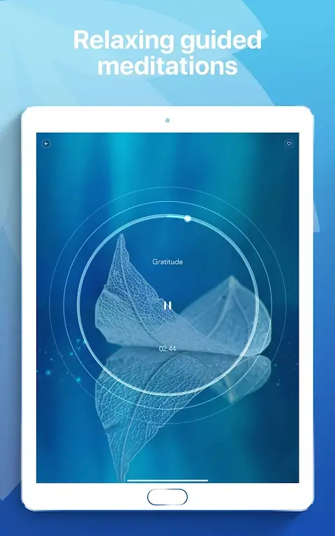 Music Zen screenshot 7