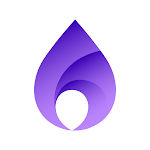 FlameDNS MOD