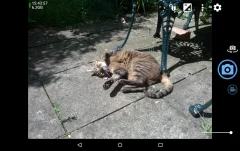 Open Camera screenshot 1